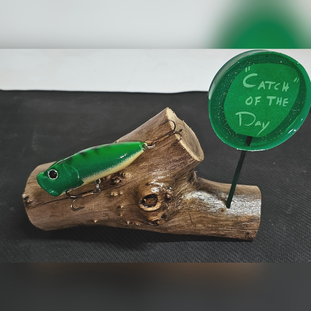 Fishing Lure Gift "Catch of the Day" log display handmade functional art #2